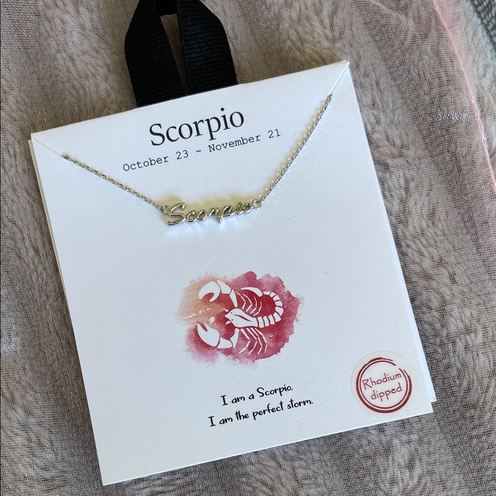 Scorpio Silver Necklace